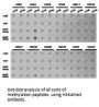 Histone H3K4me3 Antibody