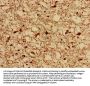 KAT5 Antibody