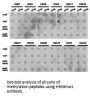 Histone H3K9me1 Antibody