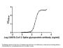 S Antibody