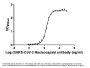 N Antibody