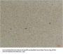 KCNK4 Antibody