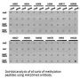 Histone H4K20me3 Antibody