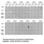 Histone H3K79me1 Antibody