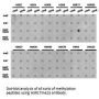 Histone H3R17me2a Antibody