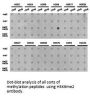 Histone H3K9me2 Antibody