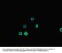 SQSTM1 Antibody