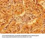 MCAT Antibody