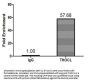 THOC1 Antibody