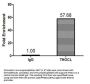 THOC1 Antibody