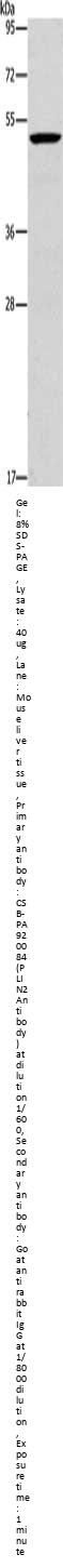 PLIN2 Antibody