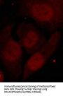 Phospho-HDAC2 (Ser394) Antibody