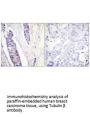 TUBB3 Antibody
