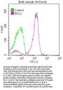 BCL2 Recombinant Monoclonal Antibody