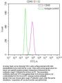 CD40 Recombinant Monoclonal Antibody