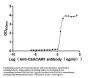 CEACAM1 Recombinant Monoclonal Antibody