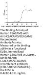 CEACAM5/CEACAM6 Recombinant Monoclonal Antibody