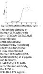 CEACAM5/CEACAM6 Recombinant Monoclonal Antibody