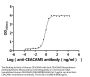 CEACAM5 (Tusamitamab) Recombinant Monoclonal Antibody