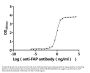 FAP Recombinant Monoclonal Antibody
