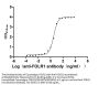 FOLR1 Recombinant Monoclonal Antibody