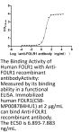 FOLR1 Recombinant Monoclonal Antibody