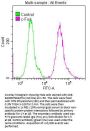 FOS Recombinant Monoclonal Antibody