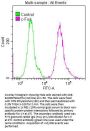 FOS Recombinant Monoclonal Antibody