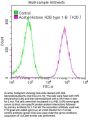 Acetyl-Histone H2B type 1-B(K20)Recombinant Monoclonal Antibody