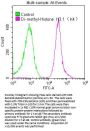Di-methyl-Histone H3.1(K4) Recombinant Monoclonal Antibody