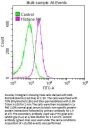 Histone H4 Recombinant Monoclonal Antibody