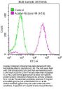 Acetyl-Histone H4 (K16) Recombinant Monoclonal Antibody