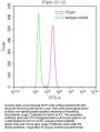 ITGAV Recombinant Monoclonal Antibody