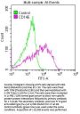 CD146 Recombinant Monoclonal Antibody