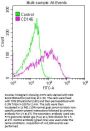 CD146 Recombinant Monoclonal Antibody