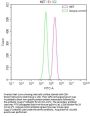 MET Recombinant Monoclonal Antibody