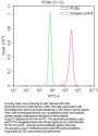 PCNA Recombinant Monoclonal Antibody