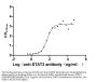 STAT3 Recombinant Monoclonal Antibody