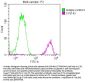 FUBP1 Recombinant Monoclonal Antibody