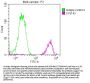 FUBP1 Recombinant Monoclonal Antibody
