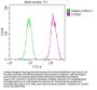 FASN Recombinant Monoclonal Antibody