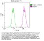 FASN Recombinant Monoclonal Antibody