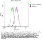 STAT3 Recombinant Monoclonal Antibody