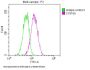 STAT3 Recombinant Monoclonal Antibody