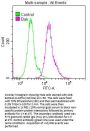 BAK1 Recombinant Monoclonal Antibody