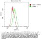 SOD1 Recombinant Monoclonal Antibody