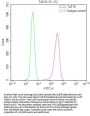 TAF15 Recombinant Monoclonal Antibody