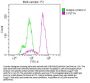 PTGS1 Recombinant Monoclonal Antibody