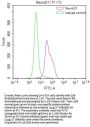 NEUROD1 Recombinant Monoclonal Antibody