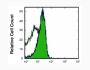 Anti-Mouse CD28 (37.51) In Vivo Antibody - Low Endotoxin